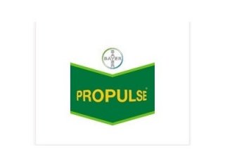 Propulse, 5l