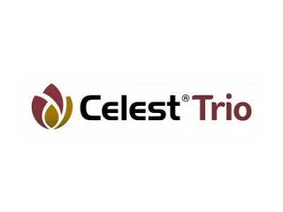 Celest Trio