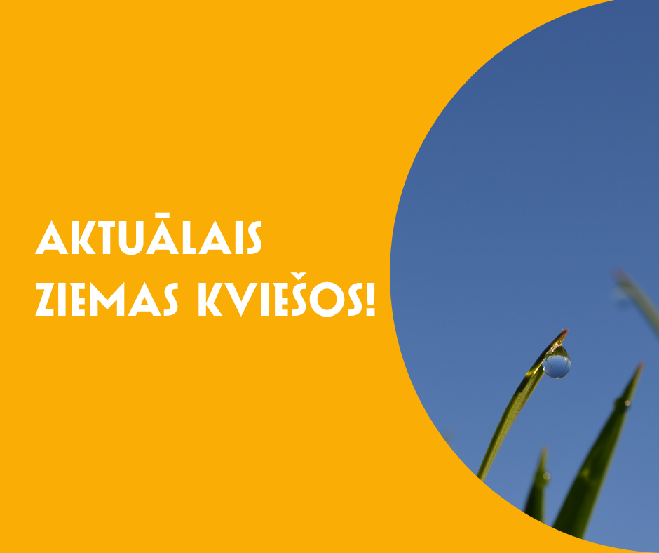 Graphic visual with a bright yellow background and bold white text reading ‘CURRENT ISSUES IN WINTER WHEAT!’. On the right side, a close-up photo of young wheat leaves against a clear blue sky is displayed inside a circular frame, featuring a visible water droplet on the tip of one leaf.