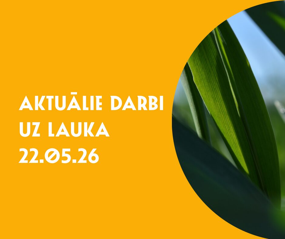 Graphic visual with a bright yellow background and white text reading ‘CURRENT FIELD TASKS 22.05.26’. On the right side, a close-up image of green cereal crop leaves appears inside a circular frame, symbolizing seasonal agricultural field activities.